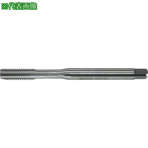 ■田野井製作所 超硬ゼロチップハンドタップ 1.5C M12×1.75×100 GT7 81614〔品番:TCZCHT1.5CM12X1.75X100GT7〕【6155433:0】[店頭受取不可]
