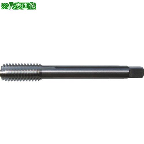 ■田野井製作所 超硬タフレット M6×1 B7 80900〔品番:TCTFM6X1B7〕【6172655:0】[店頭受取不可]
