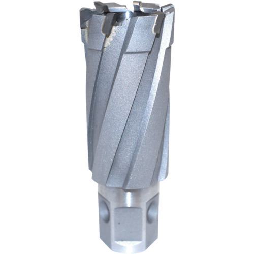 ■育良 LBクイックカッターISK-3QC300(超硬刃)(54629)〔品番:ISK3QC300〕【6634276:0】[店頭受取不可]