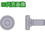 ■三菱 切削工具カッタ用部品 セットボルト〔品番:MBA20040H〕【6704514:0】[店頭受取不可]