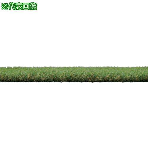■IRIS 107990 防草人工芝 2m×10m〔品番:BP30210R〕【6789554:0】[店頭受取不可]