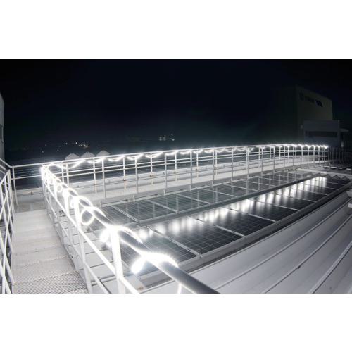 ■ハタヤ LEDテープライト LEDテープライト ハイクラス両面セット〔品番:HLTP10DS〕【6808383:0】[店頭受取不可]_2