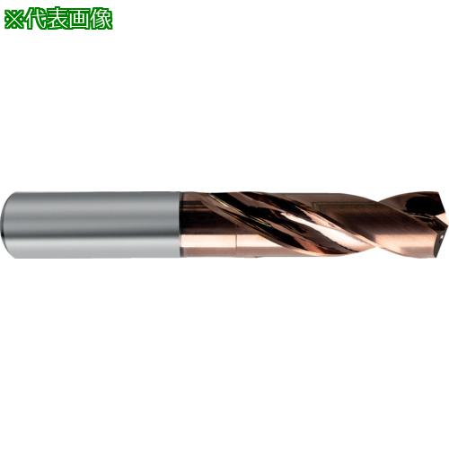 ■GUHRING 超硬ストレートシャンクドリル3xD用17mm〔品番:851217.000〕【6820106:0】[店頭受取不可]
