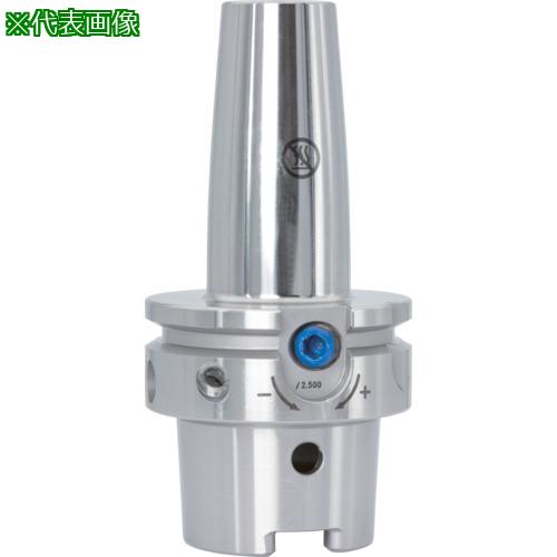 ■MAPAL ハイドロチャック ハイドロチャック(HSK-Aシャンク)〔品番:MHCHSKA0631212010A31441125〕【6829381:0】[店頭受取不可] 55,176円