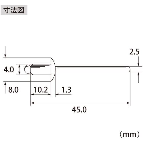 ■エビ ブラインドリベット(ステンレス/スティール製) 5-4(1000本入) 箱入〔品番:NSS54A〕【6831025:0】[店頭受取不可]_5