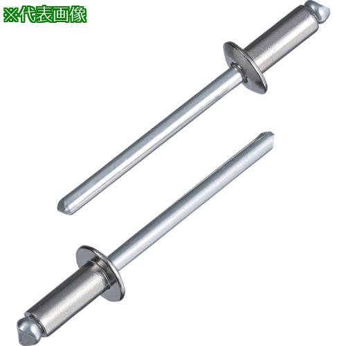 ■エビ ブラインドリベット(ステンレス/スティール製) 4-6(1000本入) 箱入〔品番:NSS46A〕【6831045:0】[店頭受取不可]