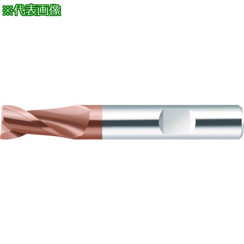 ■Prototyp 超硬エンドミル Performライン20mm〔品番:ME23220.0W2BWJ30ED〕【6941376:0】[店頭受取不可]