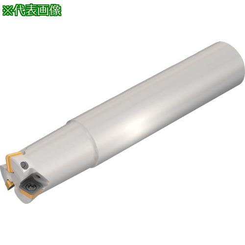 ■イスカル エンドミルカッター ミル4フィード FFQ4 D-C/W-06〔品番:FFQ4D1603C1606〕【6984063:0】[店頭受取不可]
