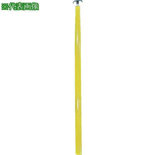 ■宣真 検尺棒 間隔測定桿ダ円タイプ8m〔品番:DP8〕【7002063:0】[店頭受取不可]