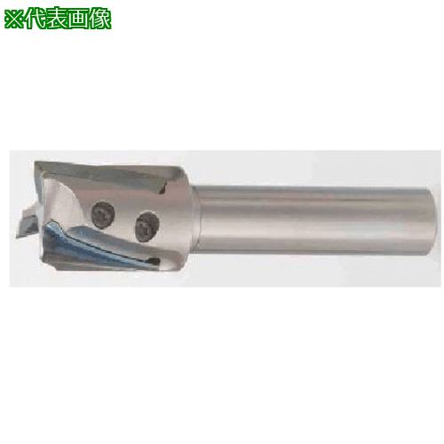 ■タンガロイ ハイブリッド・タック・ミル 柄付きカッタ EPH〔品番:EPH18R016M10.03〕【7035322:0】[店頭受取不可]