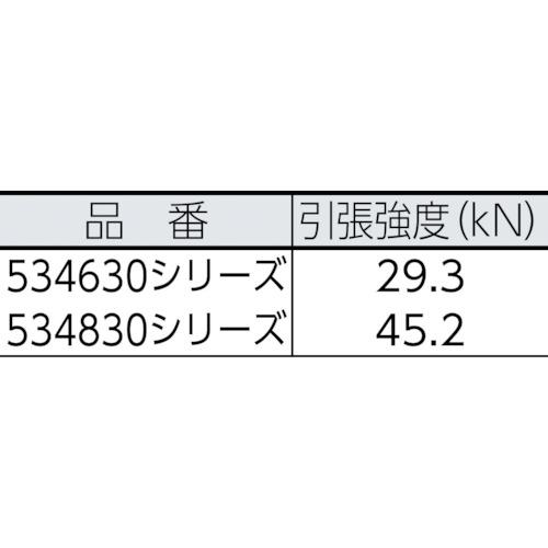 ■BlueWater 【売切廃番】セイフライン 12.7φ×91m 赤/黄〔品番:534830RDYE〕【7589859:0】[店頭受取不可]_1