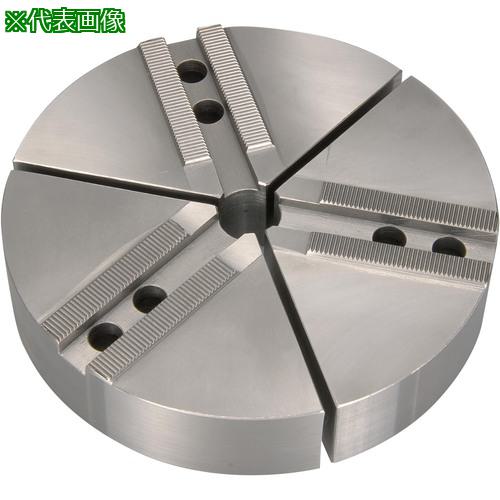 ■THECUT形生爪 日鋼製 12インチ チャック用〔品番:TKR12N〕【7607598:0】[店頭受取不可]