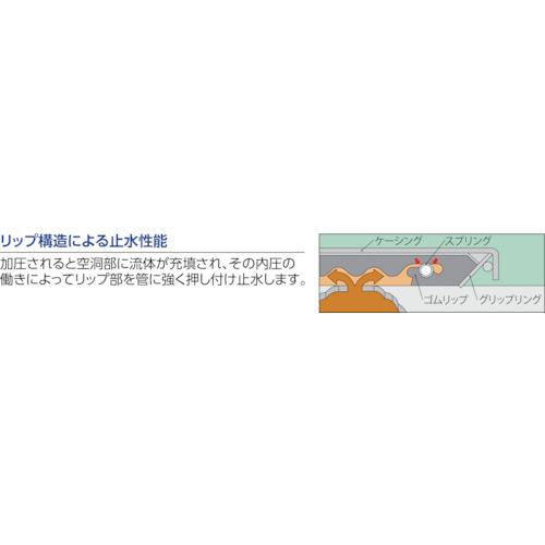 ■SHO-BOND カップリング ストラブ・ワイドクランプCWタイプ150A300〔品番:CW150N3〕【7627271:0】[店頭受取不可]