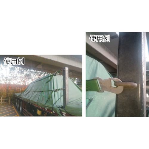 ■allsafe 平トレーラ-向けベルト調節12.5mサイド用〔品番:R50SWX1X12.5XSH50G〕【7635338:0】[店頭受取不可]_3