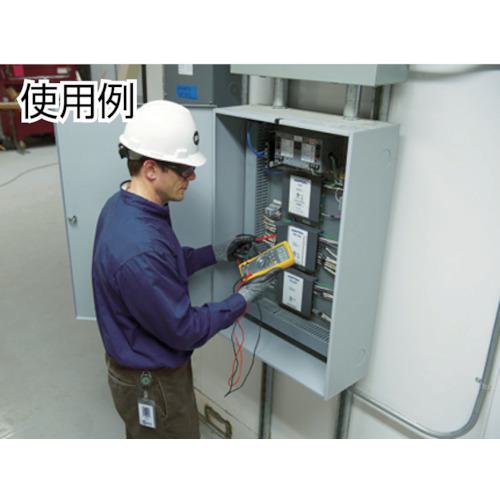 ■FLUKE デジタル・マルチメーター(真の実効値)〔品番:175〕【7657323:0】[店頭受取不可]_7