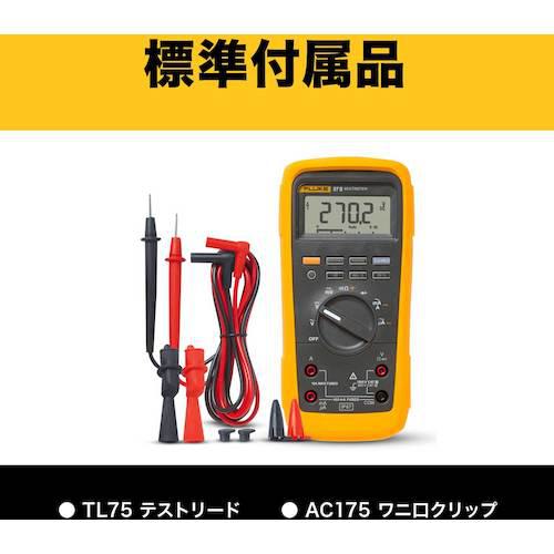 FLUKE 防水・防塵マルチメーター 272