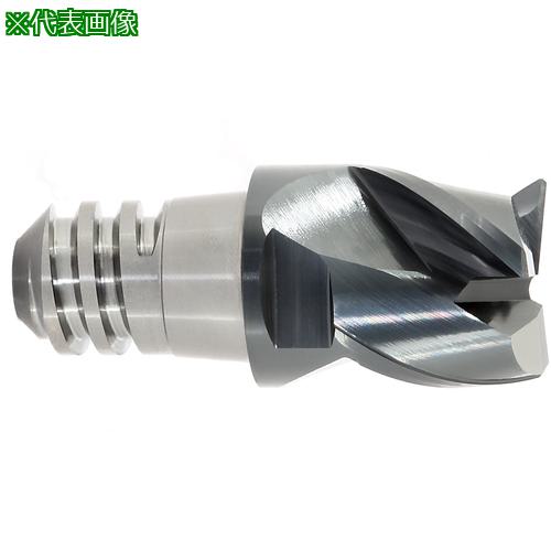 ■MAPAL CPMill-Steel-HPC 「CPM110」〔品番:CPM1101600Z03F003212HP383〕【7754850:0】[店頭受取不可]