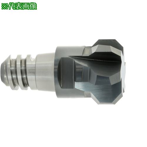 ■MAPAL CPMill-Chamfer-Twin 「CPM190」〔品番:CPM1901200Z04F015008HP383〕【7755180:0】[店頭受取不可]