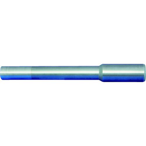 ■【在庫限り】MAPAL スローアウェイドリル head holder CFS 101 全長110mm 取付部径6mm〔品番:CFS101N06070ZYLHA10H〕【7755287:0】[店頭受取不可]