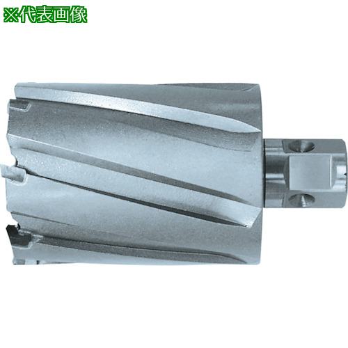 ■日東 ジェットブローチ ワンタッチタイプ 46X75L 07706〔品番:NO.07706〕【7780052:0】[店頭受取不可]