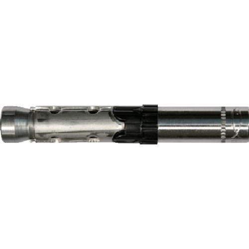 ■フィッシャー ボルトアンカー FH2 15/M12 I A4 (20本入)〔品番:519019〕【7795131:0】[店頭受取不可]