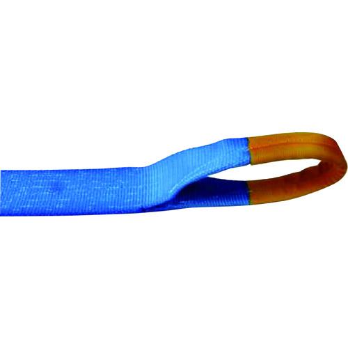 ■TESAC ラッシングベルト(ベルト荷締機)ラチェットバックル式アイタイプ〔品番:R100E010070A〕【7931611:0】[店頭受取不可]