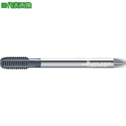 ■Prototyp 転造タップ〔品番:D7466706G14〕【8027697:0】[店頭受取不可]