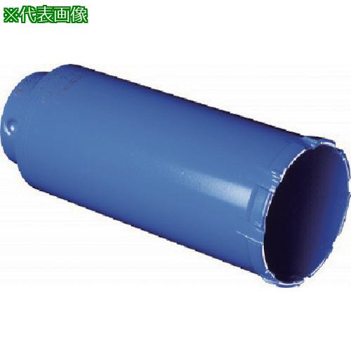 ■ミヤナガ ガルバウッドコアドリル カッター Φ210〔品番:PCGW210C〕【8115019:0】[店頭受取不可]