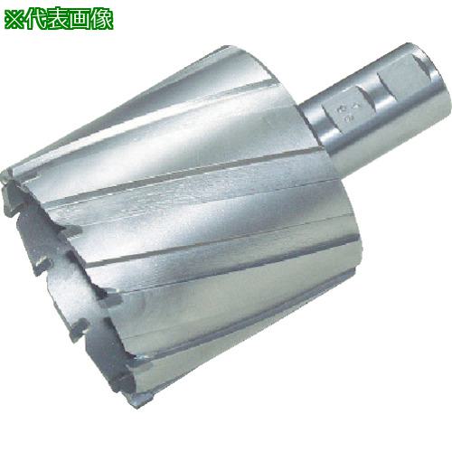 ■日東 ジェットブローチ 92X75L 14992〔品番:NO.14992〕【8147798:0】[店頭受取不可]