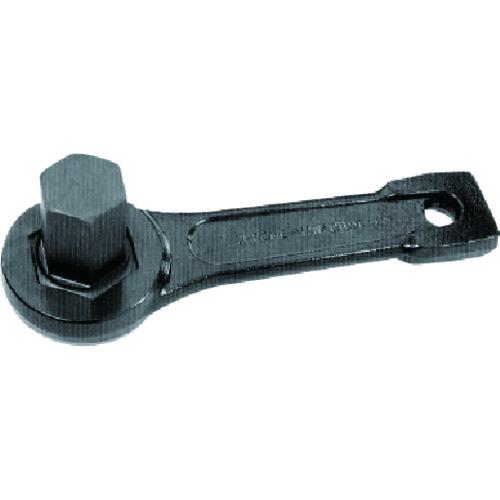 ■ASH 打撃六角棒スパナ19mm〔品番:DA1900〕【8165084:0】[店頭受取不可]