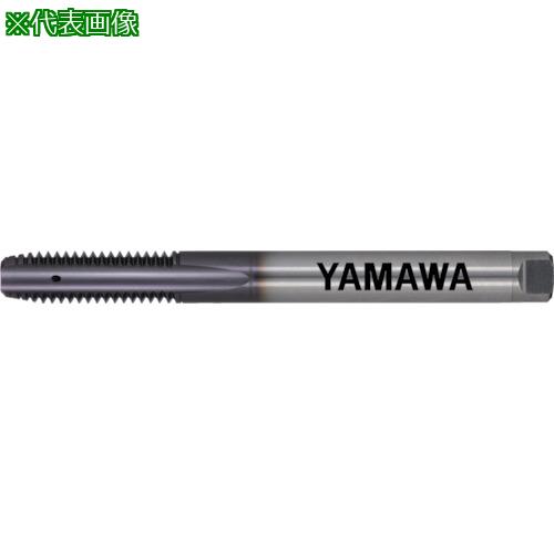 ■ヤマワ 超高速道路用軽銀材用通り道穴用超硬お手手飲み口 HFACT-P P3 M6X1〔品番:HFACTPM6X1〕【8168189:0】[店先受け取り証書不可]
