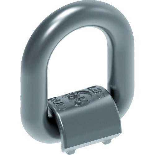 ■RUD 【売切廃番】RUD ステンレス製溶接式ロードリング LBS(1) RS 0.5〔品番:LBS1RS0.5〕【8195544:0】[店頭受取不可] 13,460円