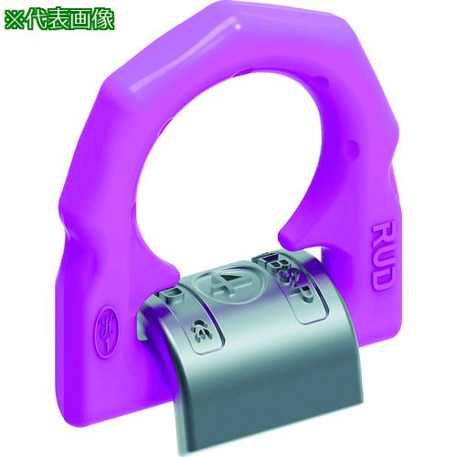 ■RUD 溶接式ロードリング VLBSーUー2.5〔品番:VLBSU2.5〕【8195563:0】[店頭受取不可]