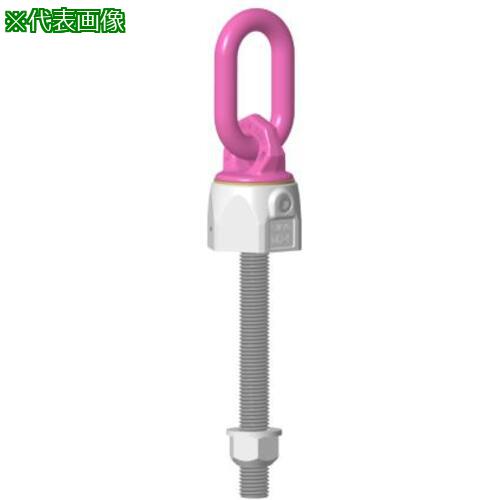 ■【在庫限り】RUD バリオリングロングボルトタイプ VWBG M27L〔品番:VWBGM27L〕【8195656:0】[店頭受取不可]