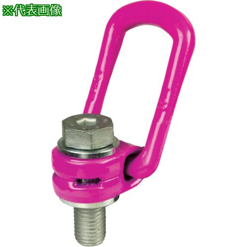 ■RUD ロードリングインチサイズ VLBG-Z 2.5T 3/4-10UNC〔品番:VLBGZ2.5T3410UNC〕【8195674:0】[店頭受取不可]