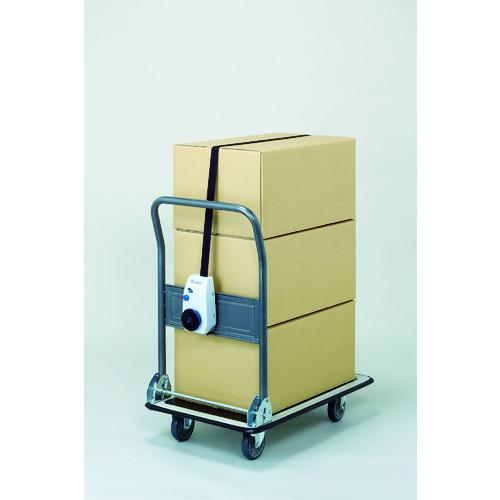 ■Reelex 台車用荷締リール LocFIT (ロック フィット)〔品番:LF3037〕【8285076:0】[店頭受取不可]_6