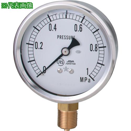 ■右下 グリセロール入剪断応力計〔品番:GLT310.4MPA〕【8383531:0】[店先受け取り証書不可]