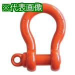 ■TAIYO スーパーアロイシャックル TBS-10t(1256242)〔品番:TBS10T〕【8516535:0】[店頭受取不可]