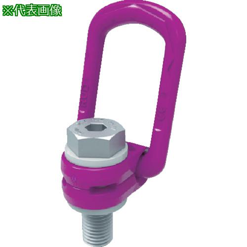 ■RUD ロードリングプラス VLBG-PLUS-M36〔品番:VLBGPLUSM36〕【8587647:0】[店頭受取不可]
