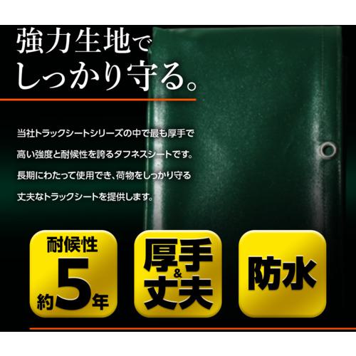 エステルトラックシート(2tトラックロング用)3.2×4.7M トラスコ TETS-2L ＼24h限定 抽選で100%ポイントバック 11⁄5限定／萩原工業 公式エステル帆布 トラックシート グリーン H-4号 2.66m×4.6m |  3t 2tロング トラック 荷台シート 荷台カバー ゴムバンド 30本入 防水 緑 トラック用シート 荷掛けシート |