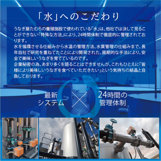 【たむろ極 幻のめすうなぎ艶鰻 ファミリーパック】国産うなぎ白焼4尾以上＋1尾（5〜7人前）送料無料 贈り物（ギフト）に最適 モンドセレクション最高金賞 三河一色産_8