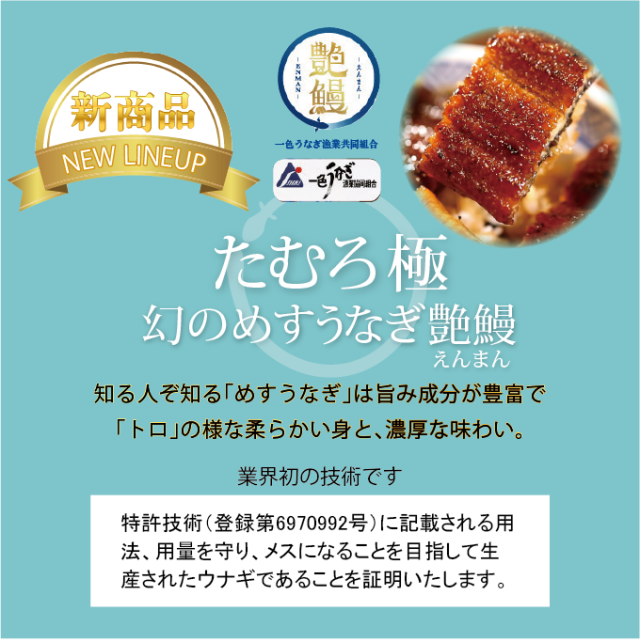 【たむろ極 幻のめすうなぎ艶鰻 ファミリーパック】国産うなぎ白焼4尾以上＋1尾（5〜7人前）送料無料 贈り物（ギフト）に最適 モンドセレクション最高金賞 三河一色産_2