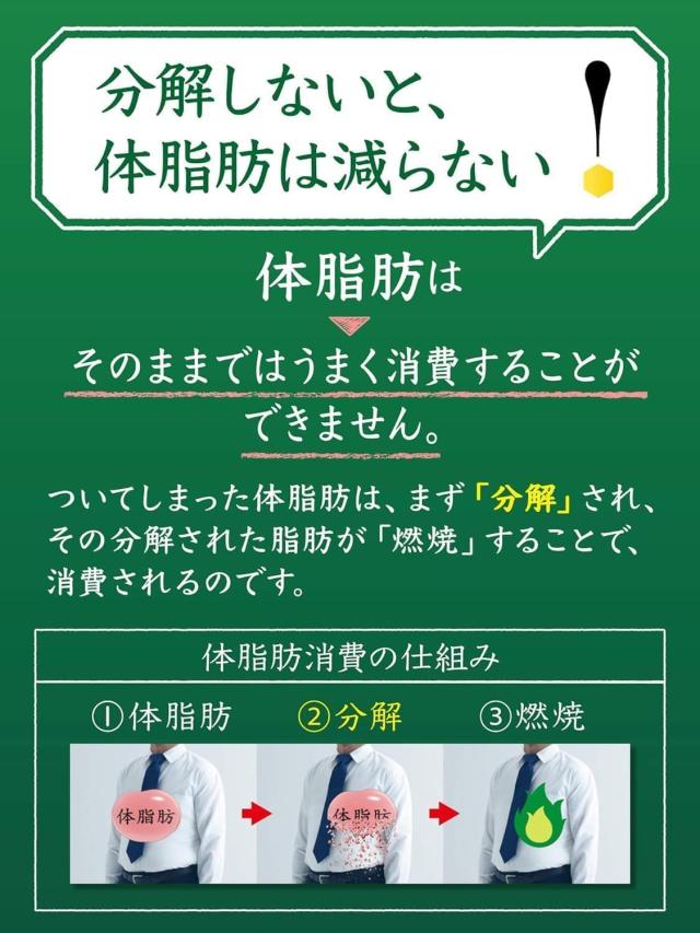 【セール】「48本」伊右衛門　特茶s　カフェイン ZERO　500ml ×24本×2箱　サントリー　TOKUCHA　特定保健用食品_4