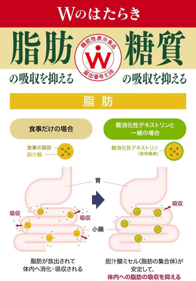 ダブルの働き 脂肪 糖質対策！ お茶 1ケース - その他