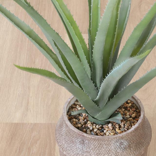フェイクグリーン アロエ Ｍ セメントポット 41136 植物 自宅 リビング おしゃれ ガーデン 室内 観葉植物 人工観葉植物 グリーン 緑 送料無料