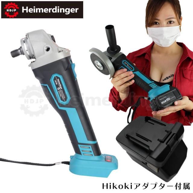 どんぐり ピンオーク 実生苗 D