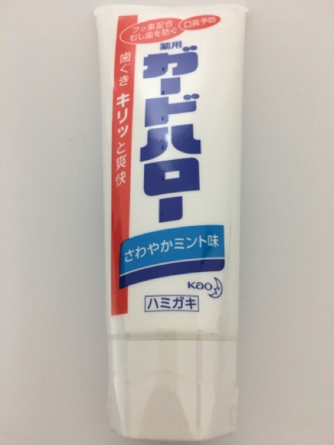 薬用ガードハロー 165g 薬用ハミガキ 歯磨き粉 歯みがき スタンディングチューブ さわやかミント味 歯茎 虫歯予防 口臭予防 息 すっきり  の通販はau PAY マーケット - e_item | au PAY マーケット－通販サイト