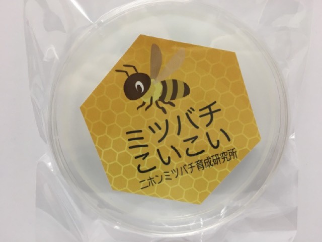 ご質問あればどうぞミツバチ誘引剤　20個セット　ミツバチ誘引ルアー　養蜂を始める方に