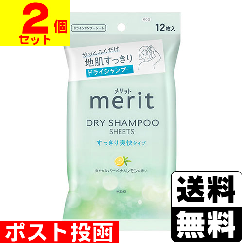 38個セットmeritメリット ドライシャンプーシート 12枚入 merit メリットDAY＋ ドライシャンプーシート 12枚入｜の通販は