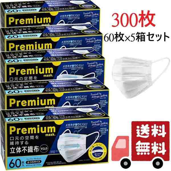 5箱セット Premium 立体不織布マスク ふつうサイズ 300枚 ダブル